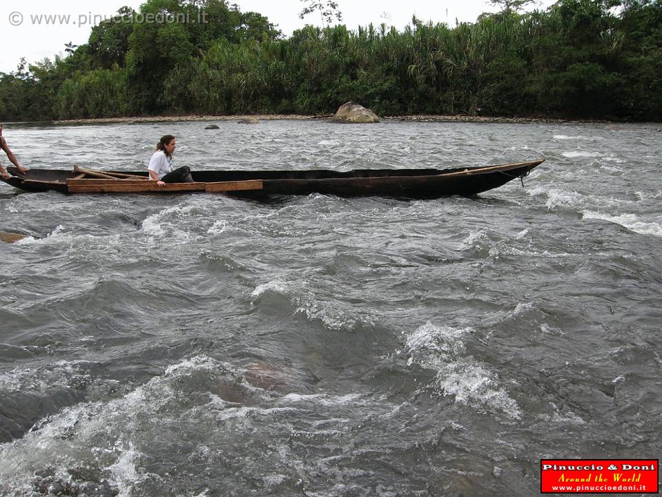 ECUADOR - Foresta Amazzonica - 35.jpg